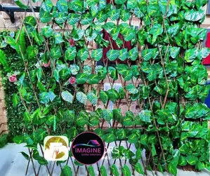Expandable Green Light Fences