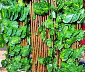 Expandable Green Fences Decor
