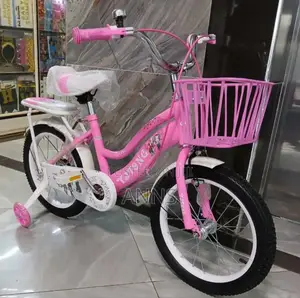 Pink Lady Bird Size 16 Kids Bike