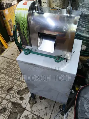 Commercial Sugarcane Juicer