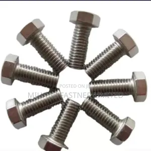 Stainless Steel Hex Bolts and Nuts