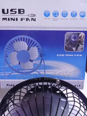 Mini USB Fan