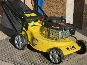 Wasp Lawn Mower 4hp WSP1840