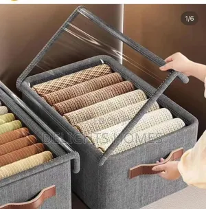 Hard Fabric Collapsible Closet Organizer With a Cover -Car