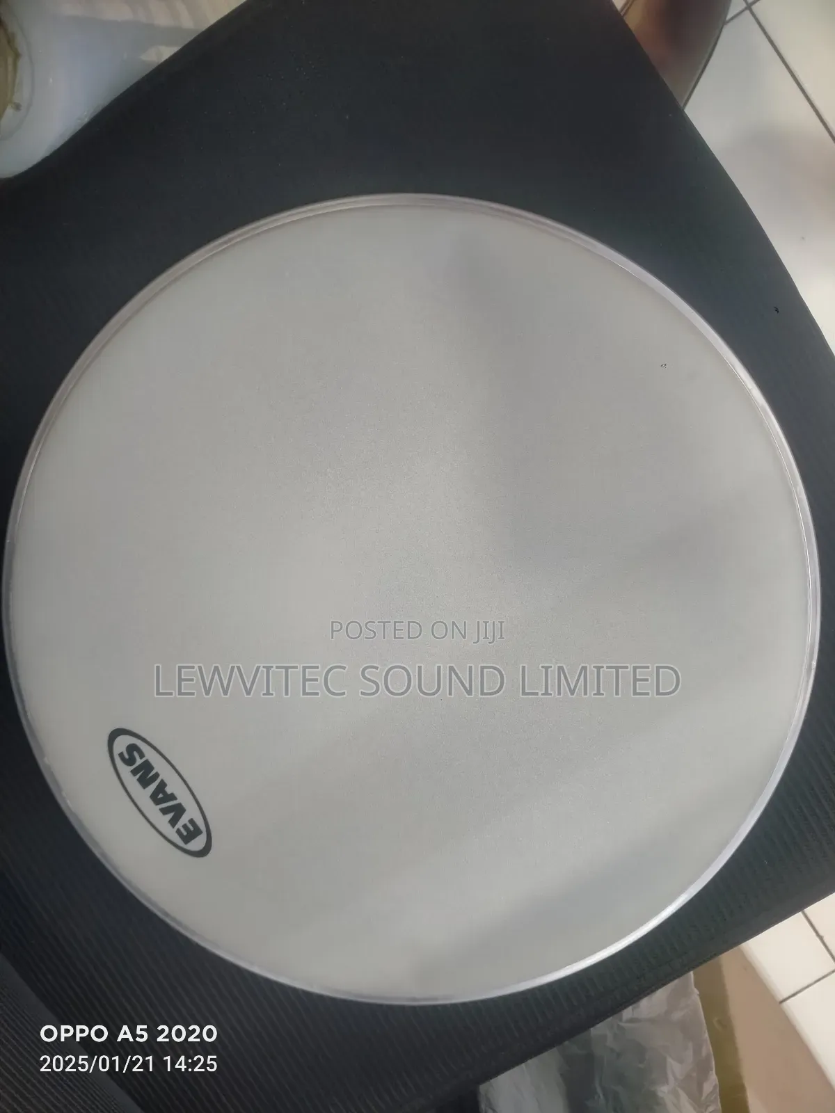 Evans 14 Inch Skin