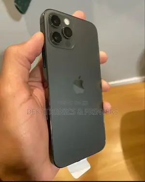Apple iPhone 12 Pro Max 256 GB Gray