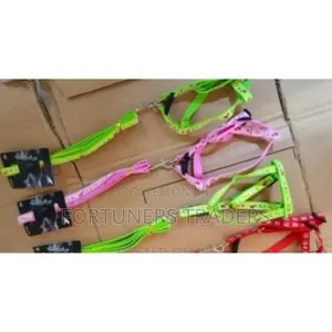 Dog Leash / Harness With Collar