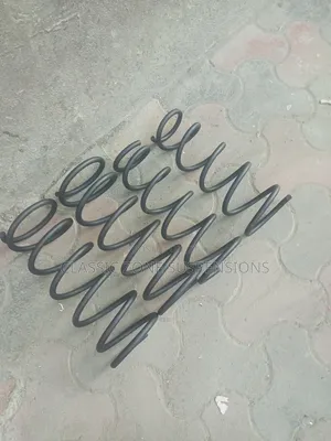 Toyota 100 Springs