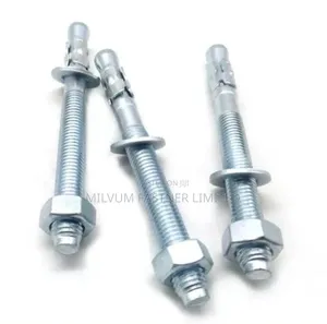Wedge Anchor Bolts 12x100