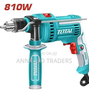Total Quality Impact Drill 810W TG1081316