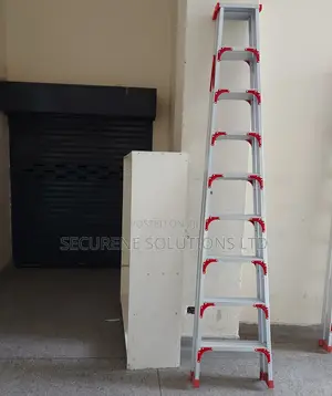9by9ft Double-sided A-frame Ladder.