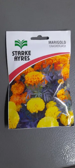 Marigold Crackerjack Flower Seeds Starke Ayres 3.6grams