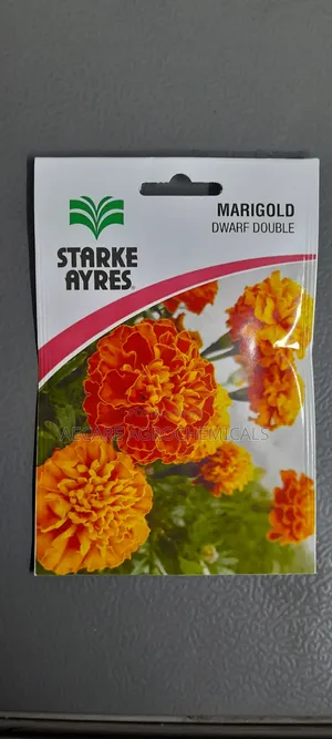 Marigold Dwarf Double Flower Seeds 1.3G