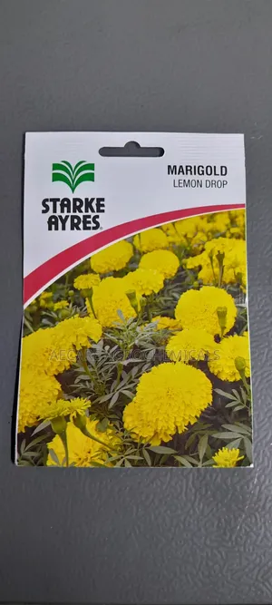 Marigold Lemon Drop Flower Seeds 0.5grams