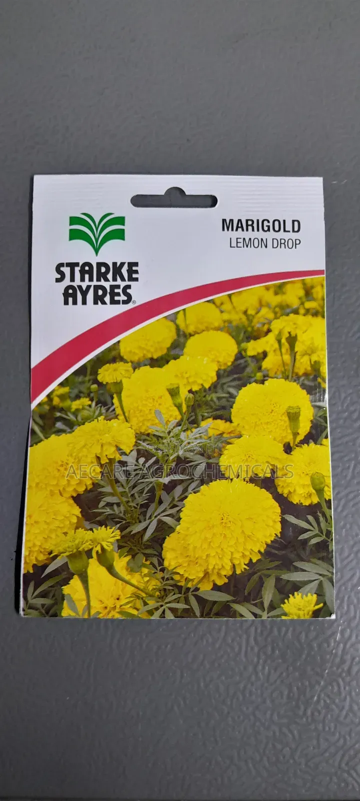 Marigold Lemon Drop Flower Seeds 0.5grams