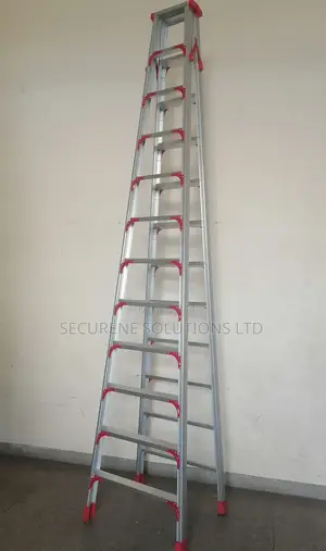 12 Step Ladder (Double Sided)