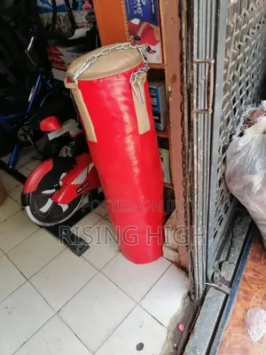 Premium Punching Bag