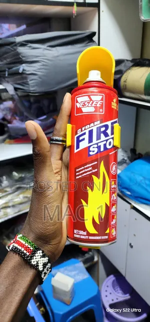 Fire Extinguisher 500ml Portable
