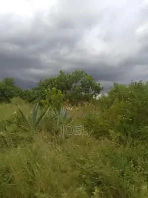 Malindi 4 Acre Land