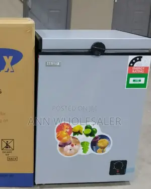 Silver Ecomax 109 Litres Deep Chest Freezer E/109-Dl