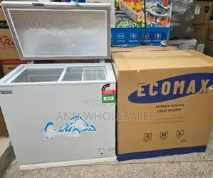 169 Litres Silver Ecomax Chest Freezer E/169-Dl