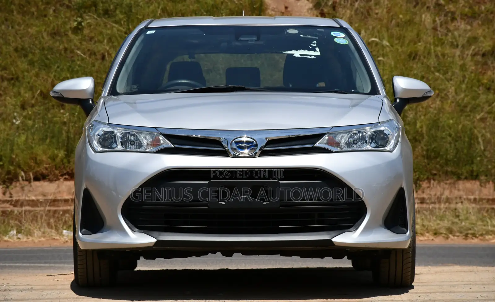 Toyota Corolla Fielder 2018 Silver