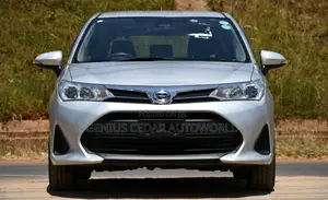 Toyota Corolla Fielder 2018 Silver