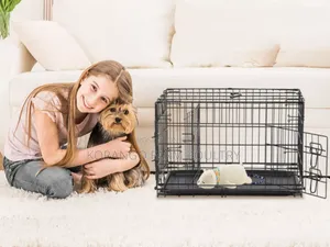 Rabbit Cats Crates