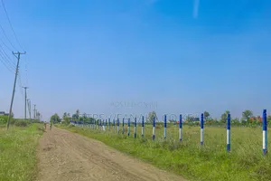 Cheap Plots in Kamakis ^MA