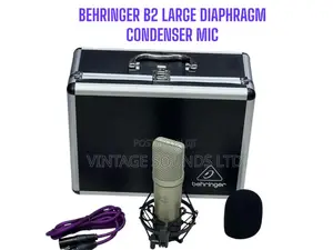 Behringer B-2 Pro Dual-Diaphragm Condenser Microphone (Gray)