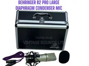 Behringer B2 Pro Dual-Diaphragm Condenser Studio Microphone