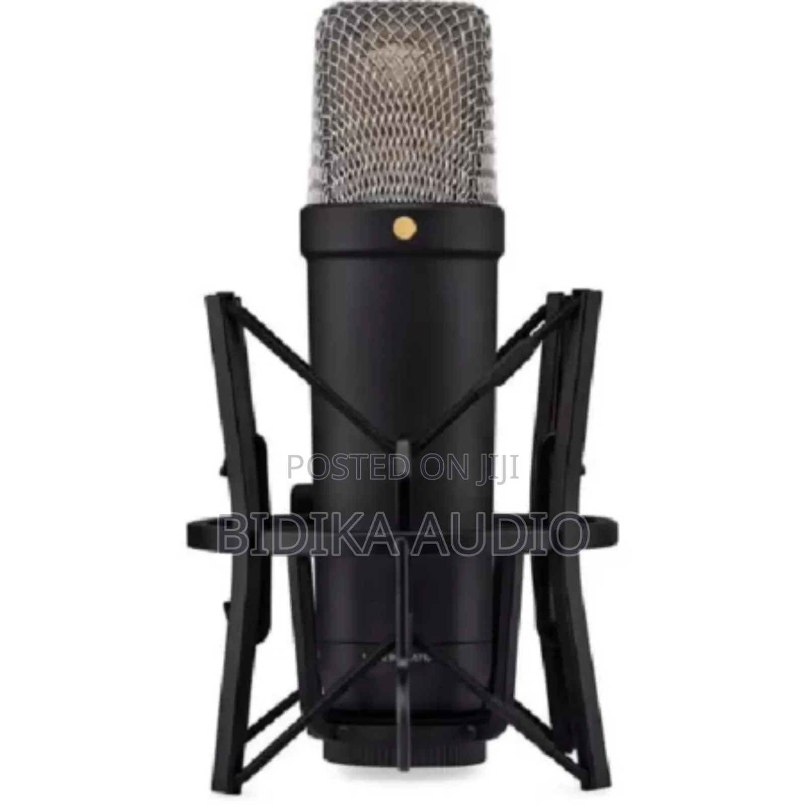 New Rode Microphone Nt1