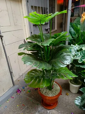 Artificial Monstera Plant(Comes With Pebbles+ Bucket)