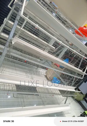 Chicken Cages