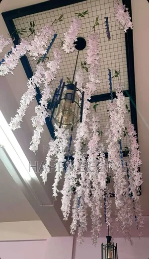 Pretty Hanging Flowers(Winsteria Vines)