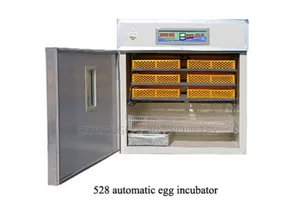Eggs Incubator Machine