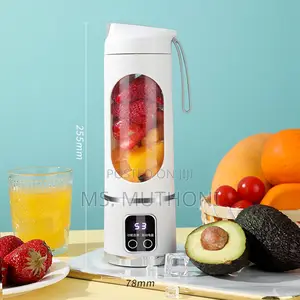 450ml Portable Fruit Juicer With 8 Page Blade