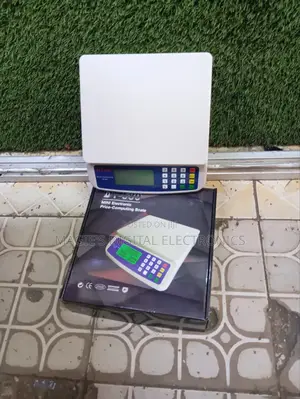DT580 Computing Scale