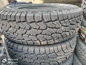 225/75r15c Sailun Tyre
