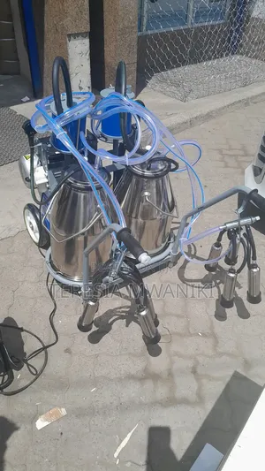 Double  Milking  Machine ( Aico)