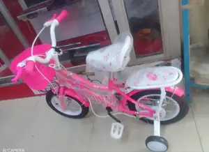 Lady Bird Pink Size 12 Bike