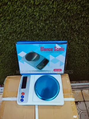 Dt610 Blance Scale