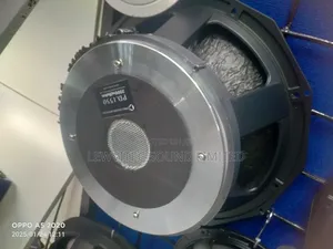 Pd 1550 Naked Speaker