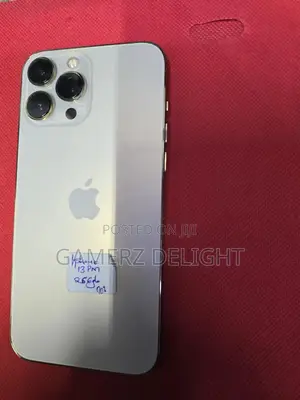 Apple iPhone 13 Pro Max 256 GB Silver