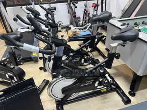 Exercise Indoor Spinning Bike