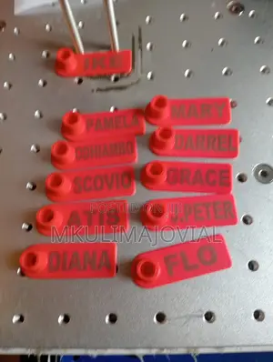 Ear Tags Customizing