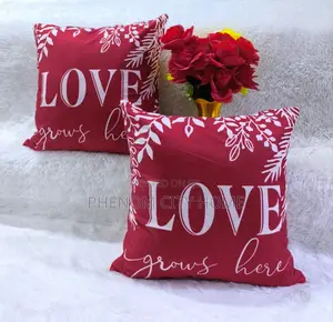 Valentines Themed Decor Pillow Cases