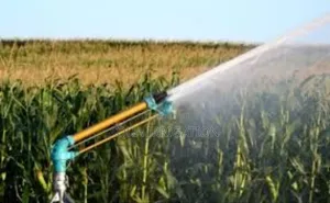 Rain Guns: Dependable Irrigation Solutions.