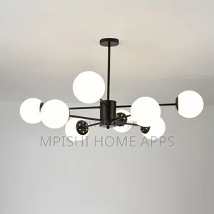 Glass Lampshade Ceiling Light Black