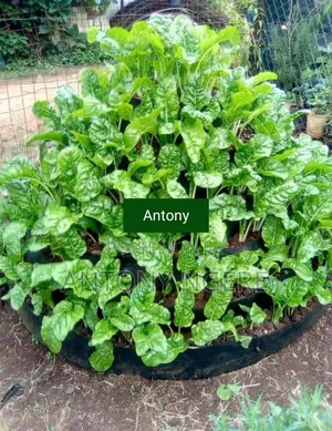 Multi Storey Garden